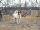 SAM_1594
