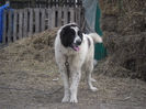 SAM_1577