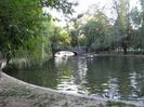IMG_1943