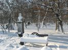 IMG_2349