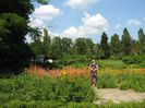 IMG_8606