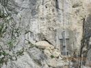 IMG_3448