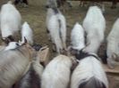 CAM01661