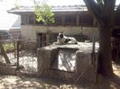CAM01821