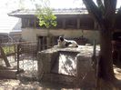 CAM01822