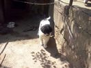 CAM01830
