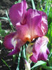 DSCN1667_001