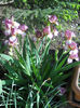 DSCN1670_004