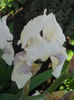 DSCN1675_009