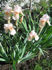 DSCN1676_010