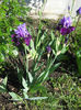 DSCN1681_015