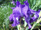 DSCN1683_017