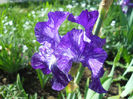 DSCN1684_018