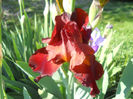 DSCN1685_019