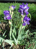 DSCN1687_021