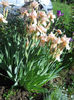 DSCN1688_022