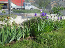 DSCN1690_024