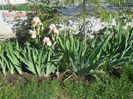 DSCN1691_025