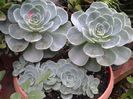 20140506_130824