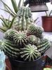 20140506_130848