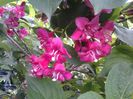 20140506_124702