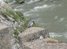 IMG_4600