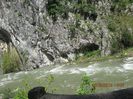 IMG_4626