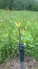WP_20140506_066