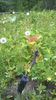 WP_20140506_068
