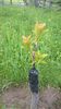 WP_20140506_070