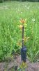 WP_20140506_071