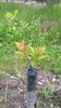 WP_20140506_072