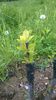 WP_20140506_077