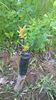 WP_20140506_080