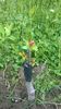 WP_20140506_082
