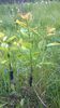WP_20140506_093