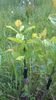 WP_20140506_094