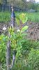 WP_20140506_095