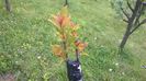 WP_20140506_001