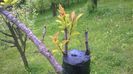 WP_20140506_002
