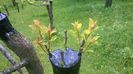 WP_20140506_003