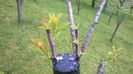 WP_20140506_004