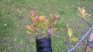 WP_20140506_005