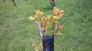 WP_20140506_007