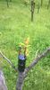 WP_20140506_009