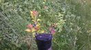 WP_20140506_011