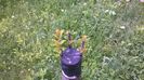 WP_20140506_012