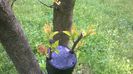 WP_20140506_013