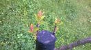 WP_20140506_014