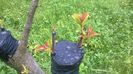 WP_20140506_015